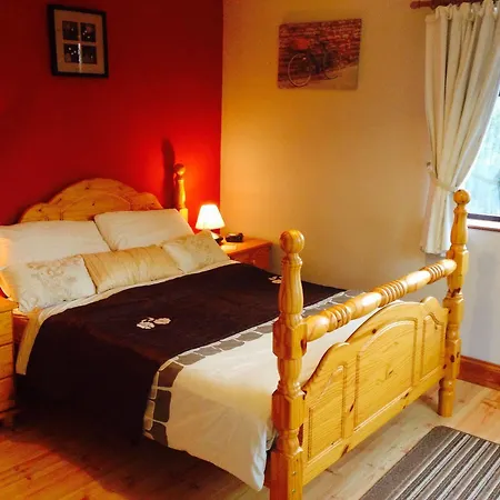 乡村民宿 Davmar House Blarney 科克