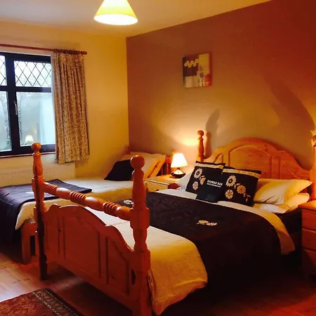 Davmar House Blarney 科克