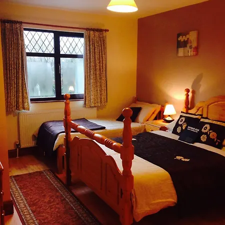 Davmar House Blarney منزل ريفي